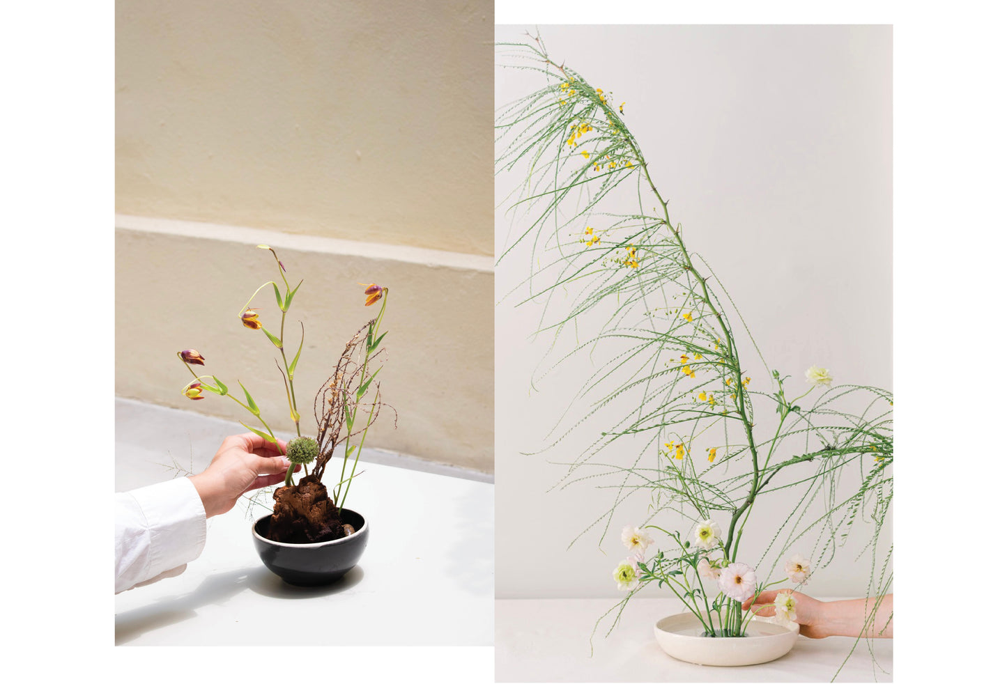 Taller de Flores Anthos x Flor de Barrio