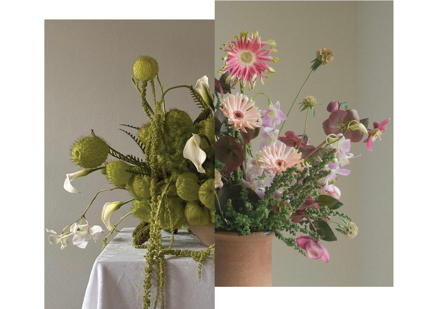 Taller de Flores Anthos x Flor de Barrio